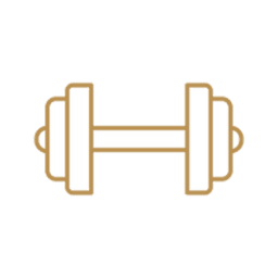 Gym icon